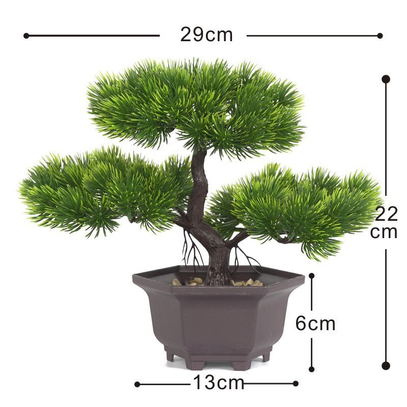 ZenScape Eternal Bonsai