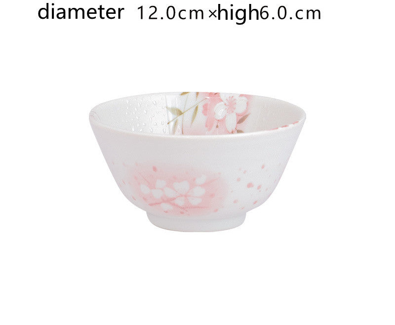 Mino-Yaki Cherry Blossom Ceramic Bowl Set