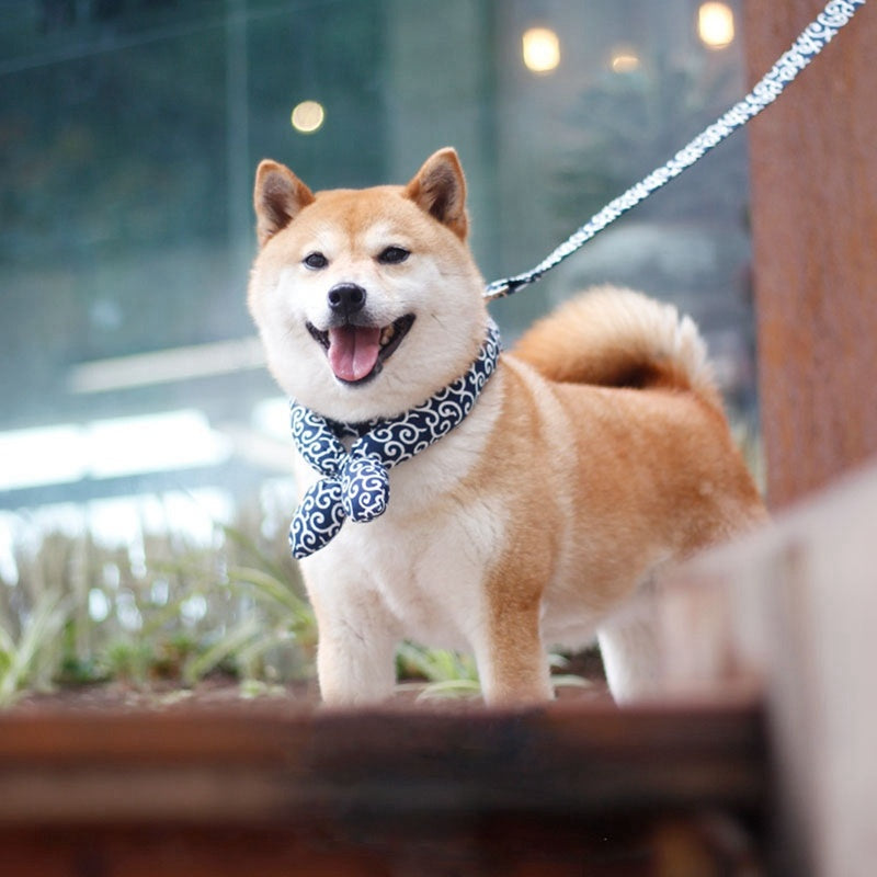 Japanese Pet Universal Dog Collar - Dog Accessories