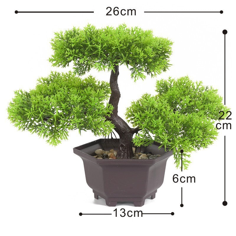 ZenScape Eternal Bonsai